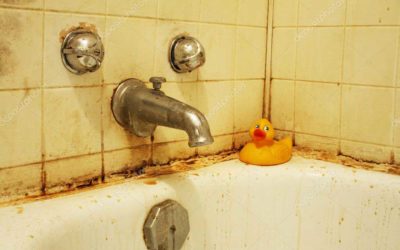 Tips for Bathroom Mold