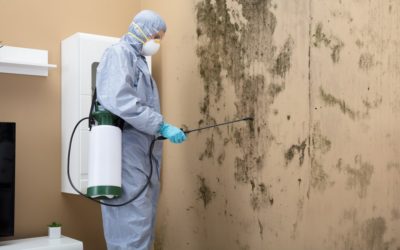 The Tools That Pros Use for Water and Mold Damage Cleanup