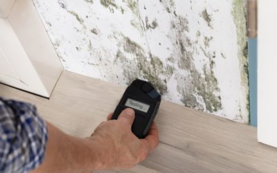 3 Reasons You Should Get Your Home Tested for Mold