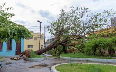 The Importance of Timely Clean Up for Storm Damage