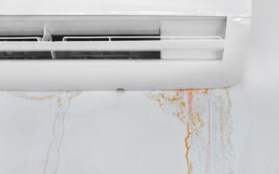 Keeping Your AC Free of Mold